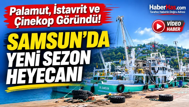 Palamut, İstavrit ve Çinekop Göründü: Samsun’da Yeni Sezon Heyecanı