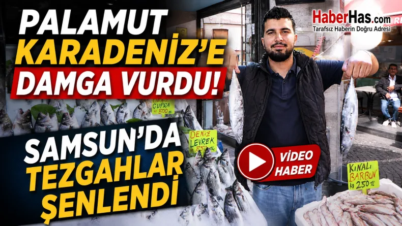 Palamut Karadeniz’e Damga Vurdu! Samsun’da Tezgahlar Şenlendi