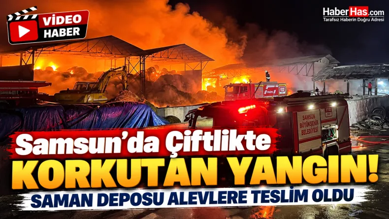 Samsun’da Çiftlikte Korkutan Yangın! Saman Deposu Alevlere Teslim Oldu