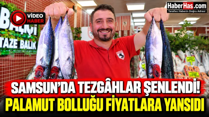 Samsun’da Tezgâhlar Şenlendi! Palamut Bolluğu Fiyatlara Yansıdı