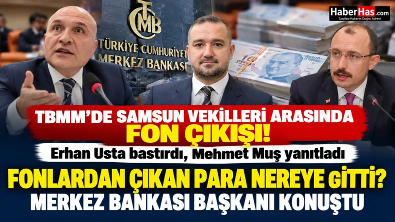 Erhan Usta, Mehmet Muş, Samsun milletvekilleri, fon soruşturması, TBMM Plan ve Bütçe Komisyonu, SPK, BDDK, Fatih Karahan, Merkez Bankası, Samsun siyaset