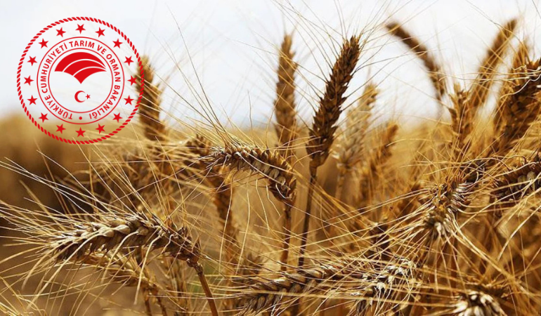 Tarım ve Orman Bakanlığı 1500 tarım işçisi istihdamı sürecini başlattı