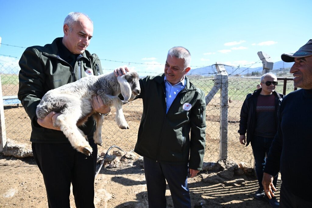 03042024121800 17893 47545