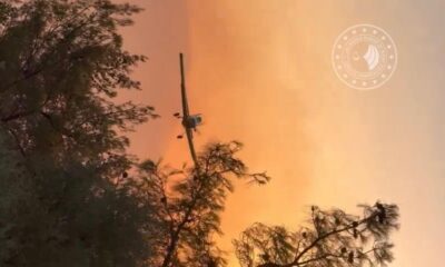 İzmir’de çıkan orman yangınları kontrol altına alındı