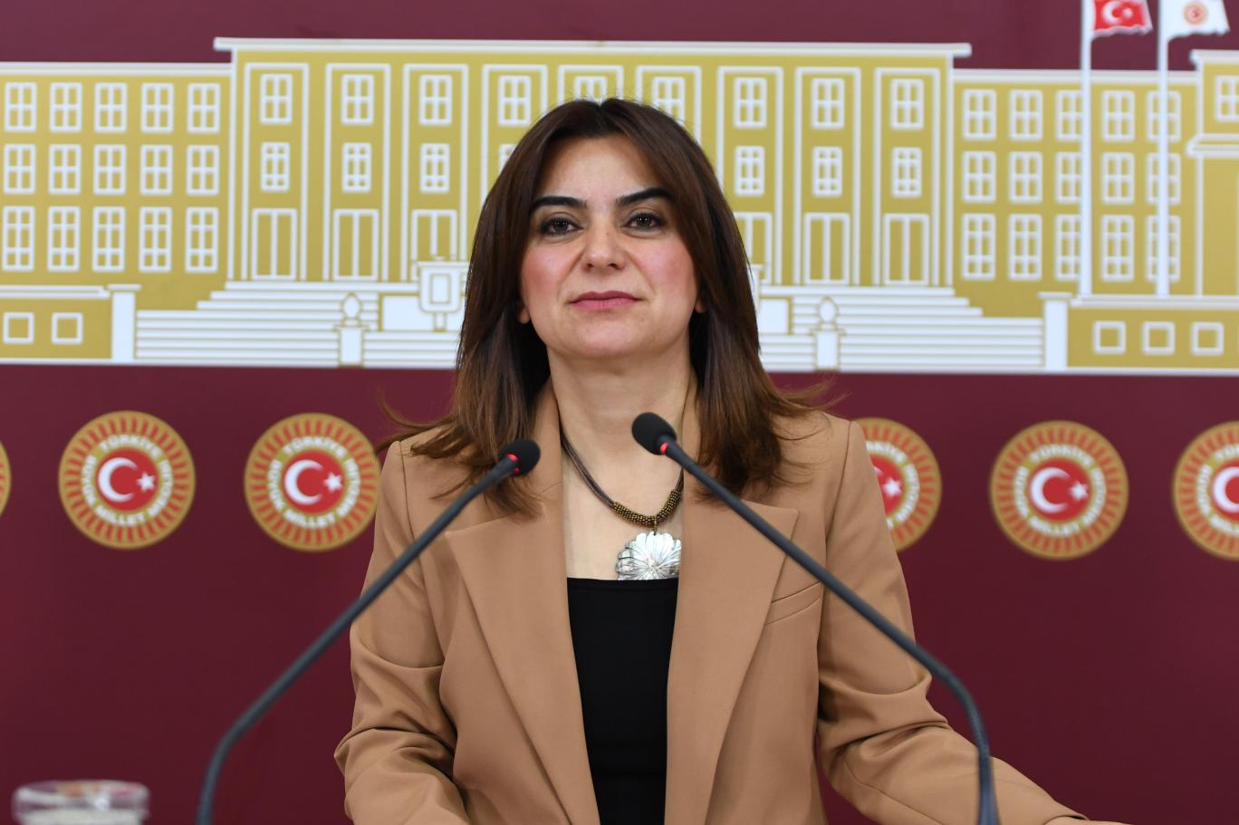 Ankara- DEM Parti'li Koçyiğit: Yeni bir Türkiye istiyoruz