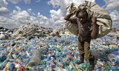 Plastik kullanımının zararları