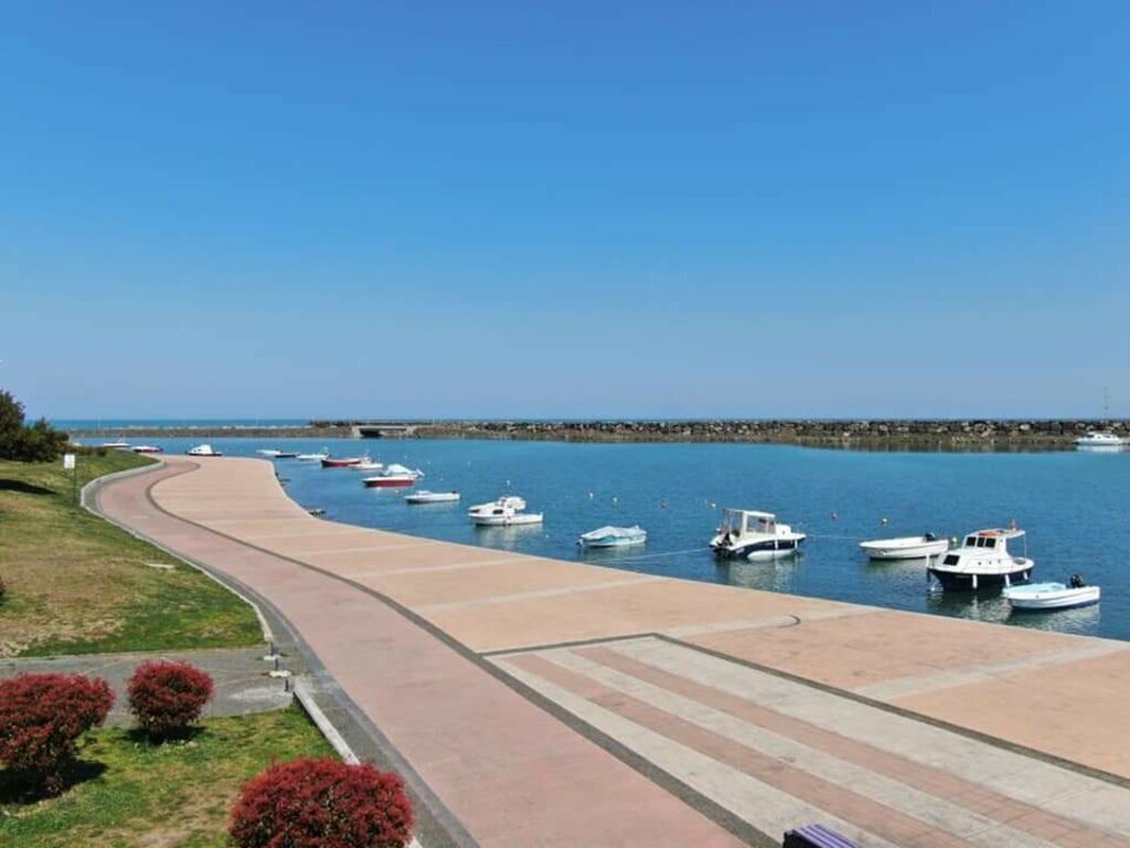 166058562 1102522290258969 7957727363927037200 n