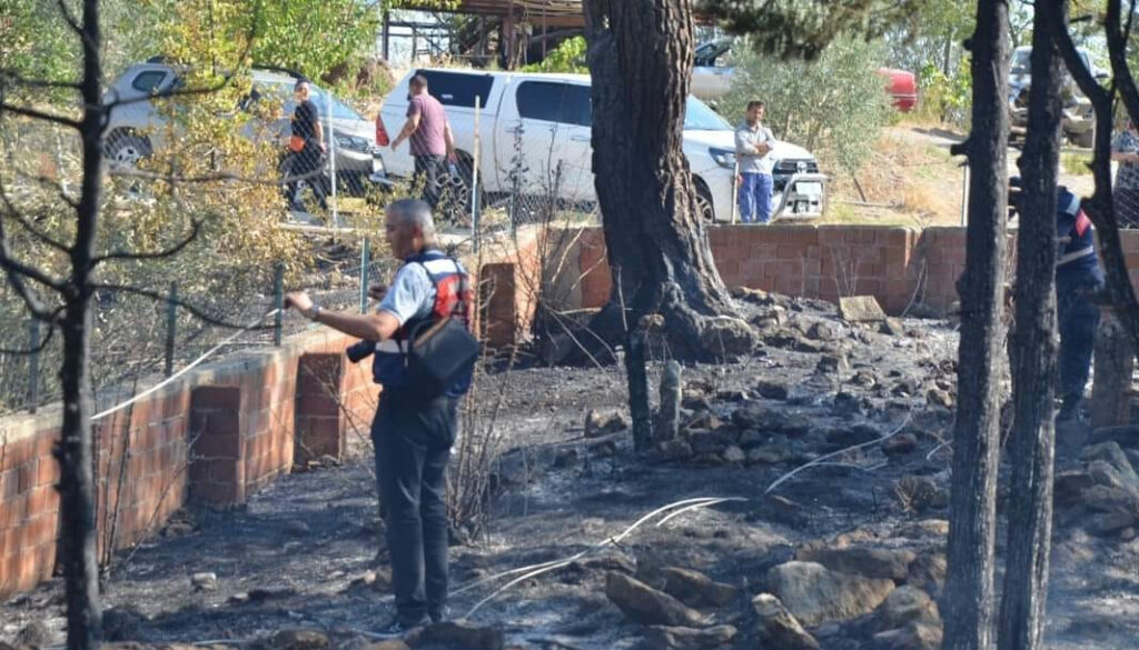 Serik’de orman yangını! 5 hektar alan küle döndü