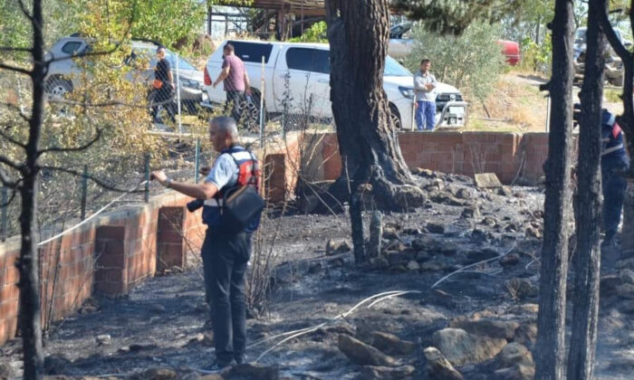 Serik’de orman yangını! 5 hektar alan küle döndü