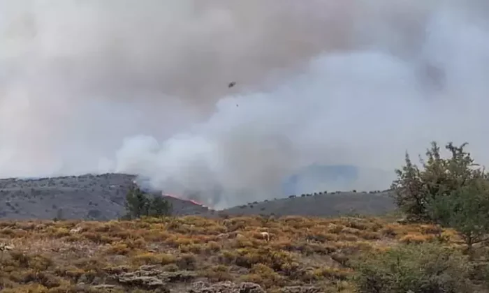 Ankara’da başlayan yangın Bolu’ya sıçradı