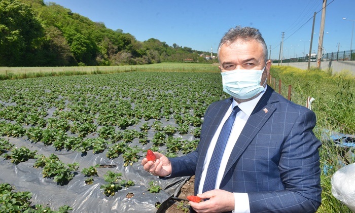 19 Mayıs’ta yöresel ürünler görücüye çıkacak