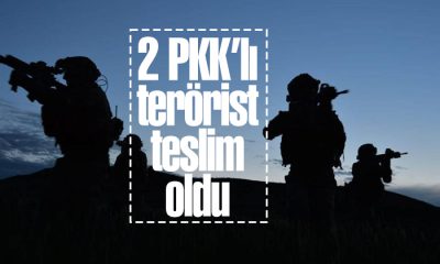 2 PKK’lı terörist teslim oldu