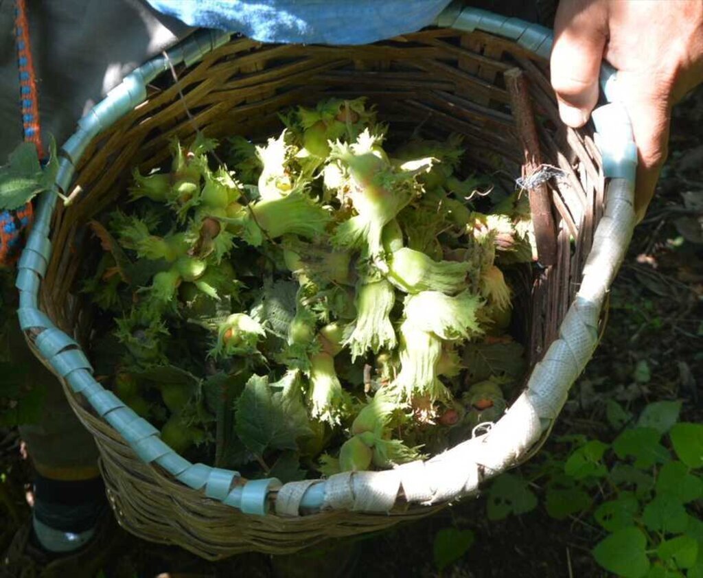 20160727 2 18259135 12634976 Web