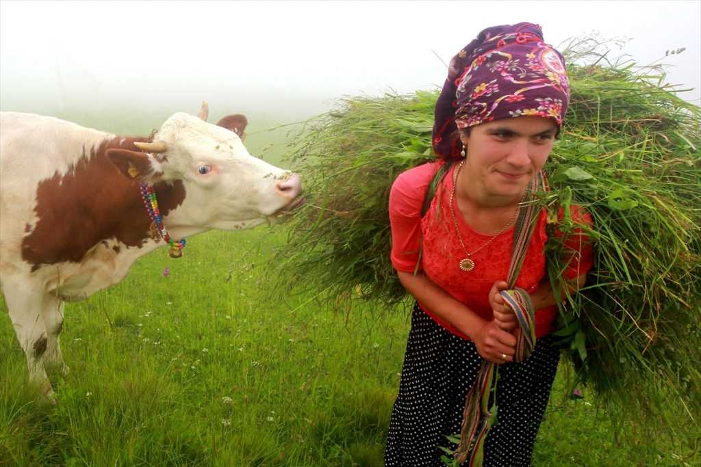 Karadeniz’de Yayla Zamanı