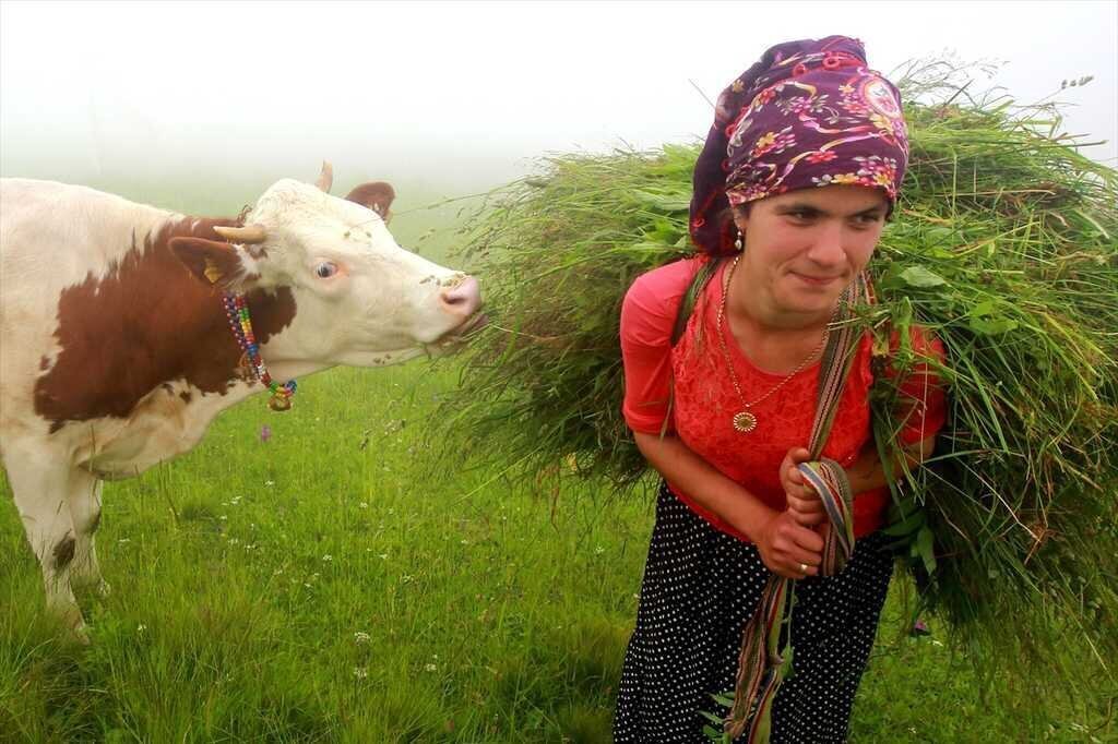 20160804 2 18415521 13011303 Web