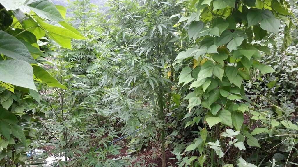 20160805 2 18438811 13048526 Web