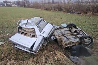 AGACA CARPAN OTOMOBIL IKIYE BOLUNDU 1 A 1089980 323555