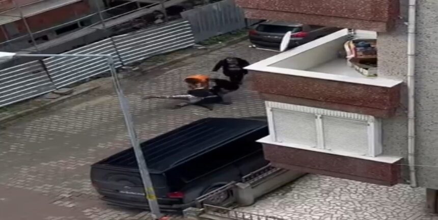 Ekran goruntusu 2025 12 24 132402