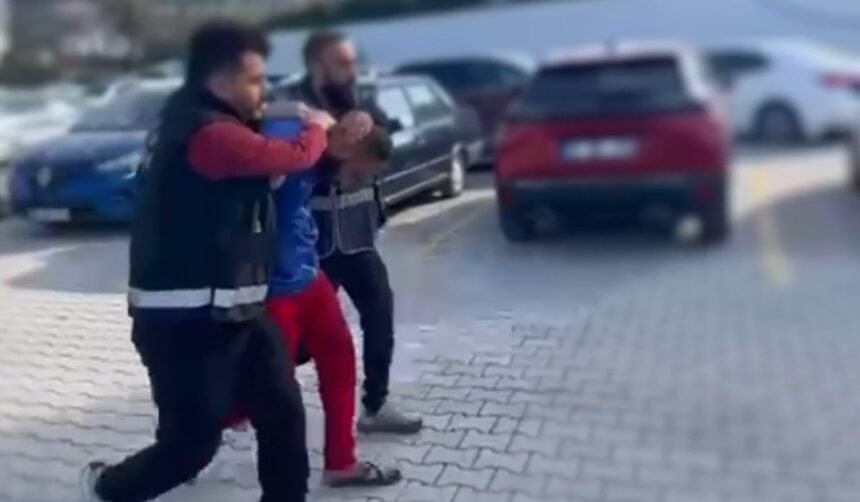 TASLA PARK HALINDEKI OTOMOBILLER ILE IS 1076496 319387