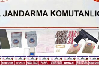 1125156 e1768905999728