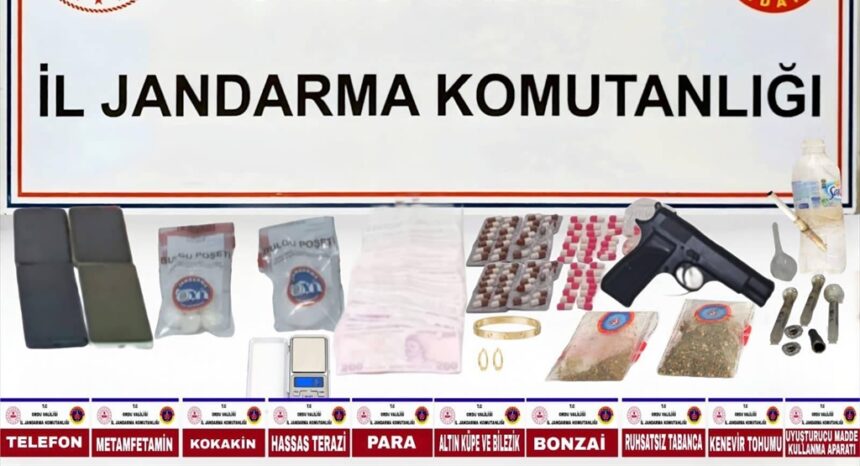 1125156 e1768905999728