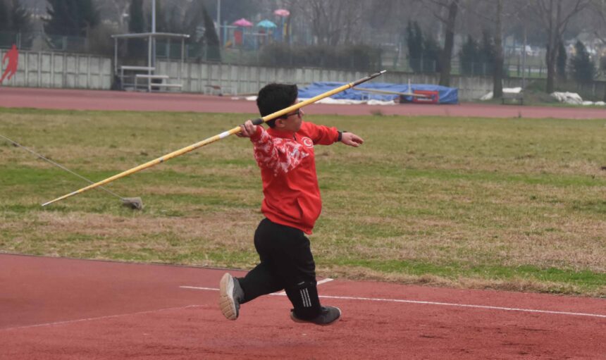 130 SANTIM AHMET 230 SANTIM CIRITLE AVR 1117300 331750