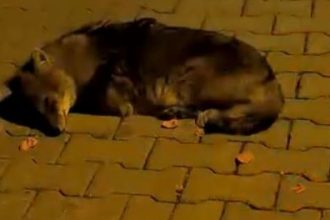 611370759 1516377283821042 2063473119332259643 n