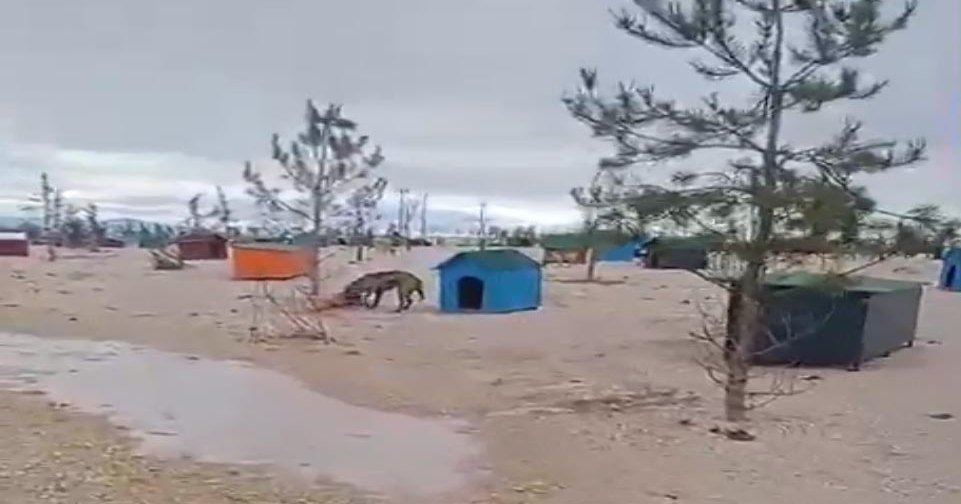 618141884_1530784399046997_601273630449170232_n