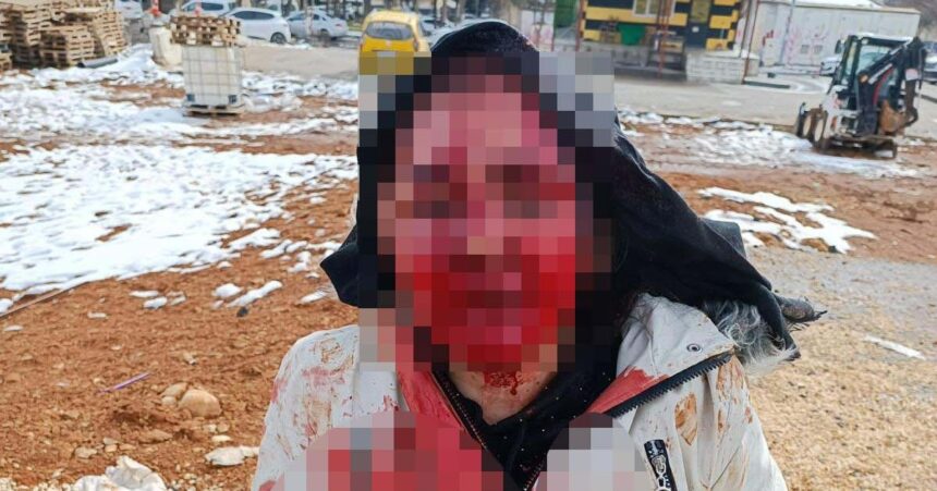 622257389 1537181738407263 4167010437600711148 n