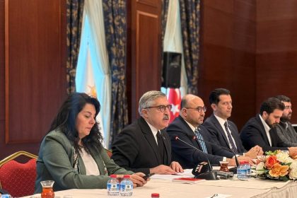 AK PARTILI YAYMAN AILE COCUK VE KADIN 1098985 326210