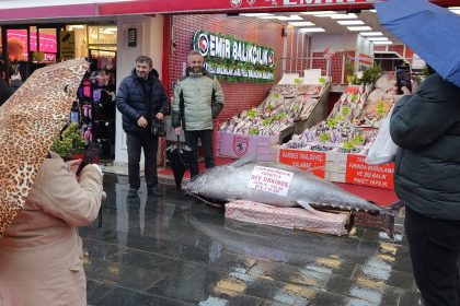 DUZCEDE AVLANAN 346 KILOLUK ORKINOS SA 1090854 323841