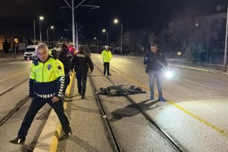 ESKISEHIRDE OTOMOBIL YAYALARIN ARASINA 1098291 326002