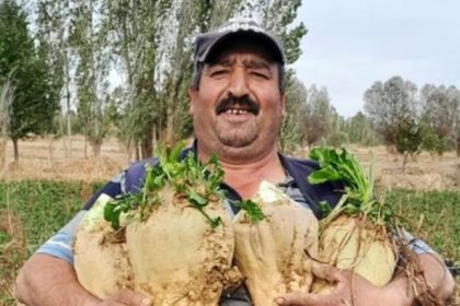 Ekran goruntusu 2026 01 05 155922