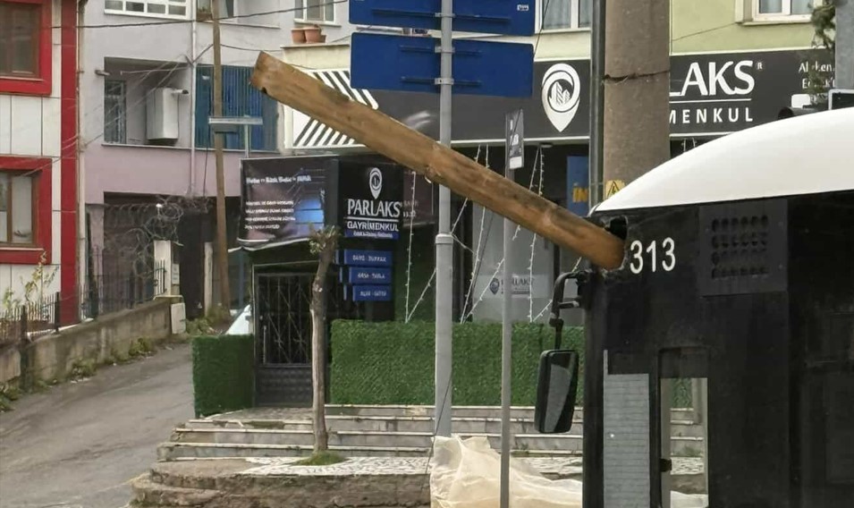 Ekran görüntüsü 2026-01-08 152250