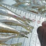 Ekran goruntusu 2026 01 19 160249