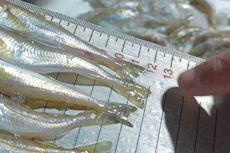 Ekran goruntusu 2026 01 19 160249