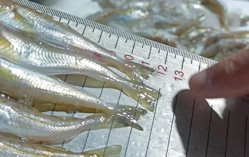 Ekran goruntusu 2026 01 19 160249