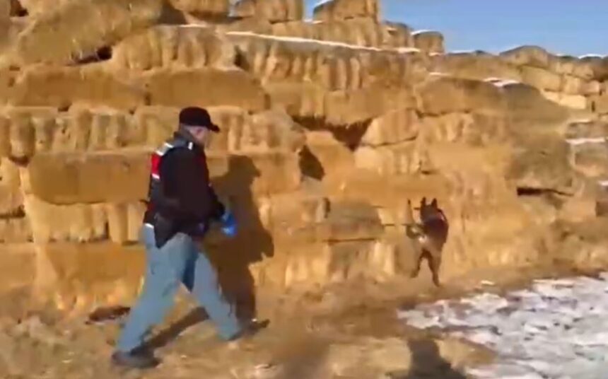 KAYSERIDE SAMAN BALYALARI ARASINDA 14 1101617 326999