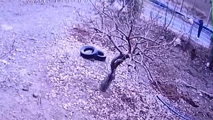 KENDISINE DOGRU KOSAN KOPEGI TUFEKLE VUR 1122164 333028