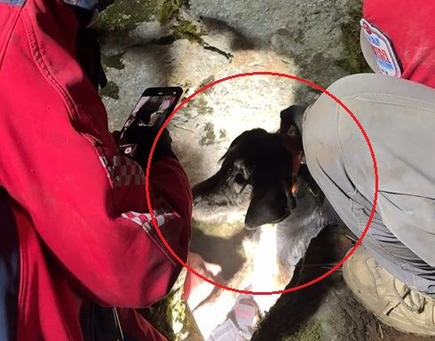 KOVALADIKLARI CAKALIN ININDE MAHSUR KALA 1098971 326204 e1767608855579