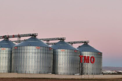 MARDINDE 9 KISININ TUTUKLANDIGI 137 BIN 1111325 329864