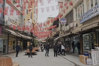 NUSAYBINDE SINIR HATTINDA TURK BAYRAGI 1129053 335219