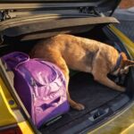 OTOMOBILDE UYUSTURUCU ILE YAKALANAN 5 KI 1102188 327178