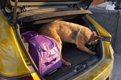 OTOMOBILDE UYUSTURUCU ILE YAKALANAN 5 KI 1102188 327178