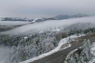 SAMSUNDA EGITIME 1 GUN ARA VERILDI 1112208 330143