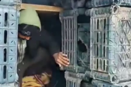 TIRIN DORSESINDEKI KASALARIN ARKASINDA 1119093 332129 e1768568621246