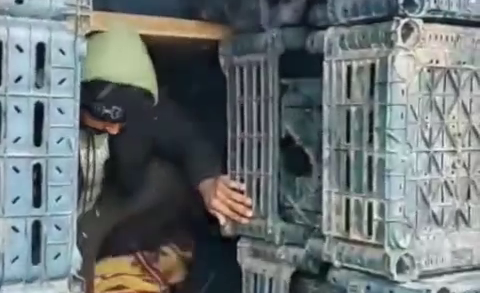 TIRIN DORSESINDEKI KASALARIN ARKASINDA 1119093 332129 e1768568621246