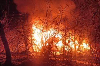 YANAN EVININ 10 METRE ILERISINDE AGACTA 1135996 337238