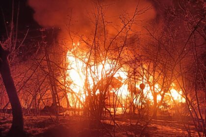 YANAN EVININ 10 METRE ILERISINDE AGACTA 1135996 337238