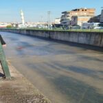 1162242 e1770813915125